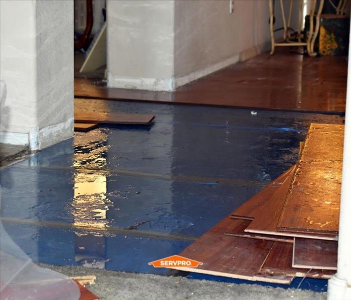 Water Damage